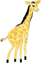 Gifs Animés giraffe 26