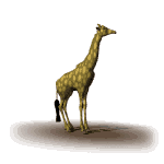 Gifs Animés giraffe 31