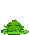 Gifs Animés grenouilles 149