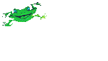 Gifs Animés grenouilles 23