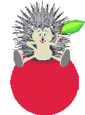 EMOTICON herisson 45