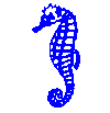 Gifs Animés hippocampe 8