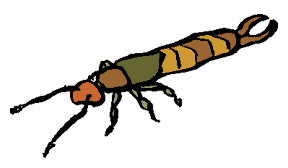 EMOTICON insect 107