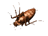 EMOTICON insect 119