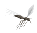 EMOTICON insect 150