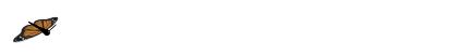 Gifs Animés insect 16