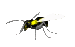 EMOTICON insect 24