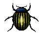 EMOTICON insect 32