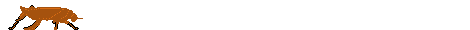 Gifs Animés insect 36