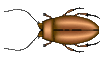 EMOTICON insect 57