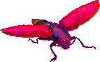 EMOTICON insect 85