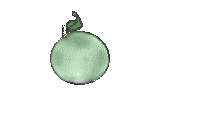 Gifs Animés invertebres 7