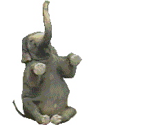 Gifs Animés jungle 43