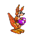 Gifs Animés kangourous 22
