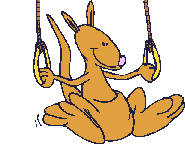 Gifs Animés kangourous 23