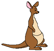 Gifs Animés kangourous 34