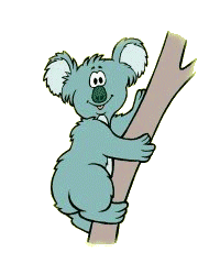 Gifs Animés koala 17