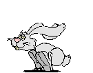 Gifs Animés lapins 122