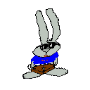 Gifs Animés lapins 173
