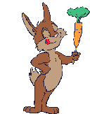 Gifs Animés lapins 221