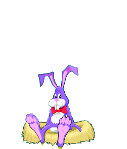 Gifs Animés lapins 275