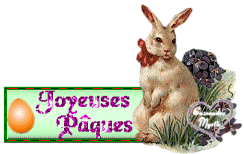 Gifs Animés lapins 497