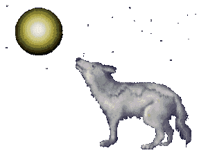 Gifs Animés loup 81