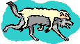 Gifs Animés loup 9