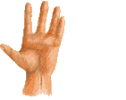 Gifs Animés mains 36