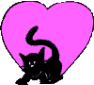 Gifs Animés mammifere 60