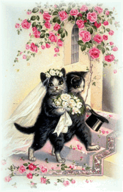 Gifs Animés mariage 50