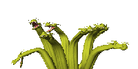 EMOTICON monstres 126