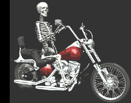 Gifs Animés motocyclisme 38