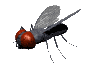 Gifs Animés mouches moustiques 16