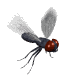 Gifs Animés mouches moustiques 22
