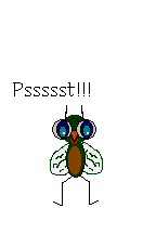 Gifs Animés mouches moustiques 38