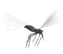 Gifs Animés moustiques 1