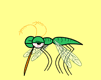Gifs Animés moustiques 2