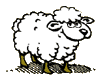 Gifs Animés moutons 35