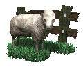EMOTICON moutons 54