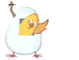 Gifs Animés oeufs 62