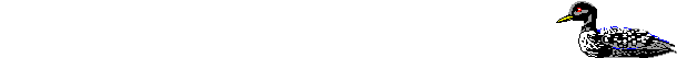 EMOTICON oies-canard 19