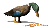 Gifs Animés oies-canard 4