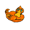 Gifs Animés oies-canard 72