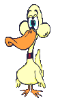 Gifs Animés oies-canard 81