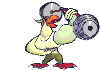 Gifs Animés oiseaux 153