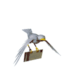 EMOTICON oiseaux 159