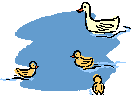 Gifs Animés oiseaux 220