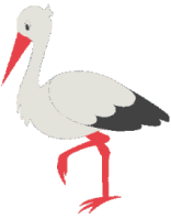 Gifs Animés oiseaux 266