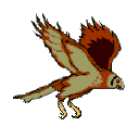 Gifs Animés oiseaux 384